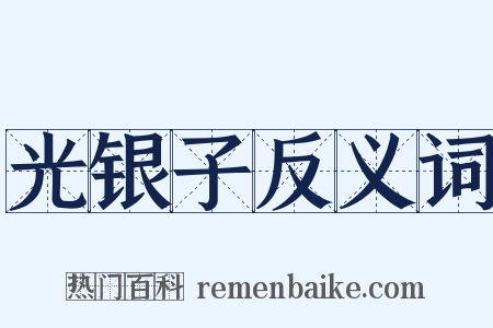 光银子反义词是什么意思的图片